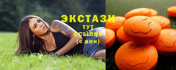 гидра Каменногорск