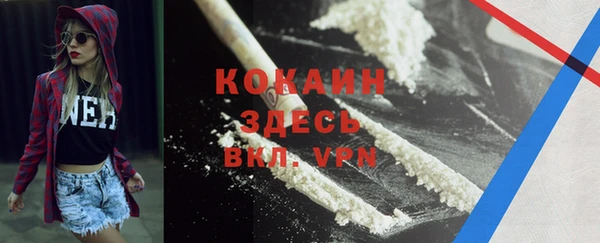 гидра Каменногорск