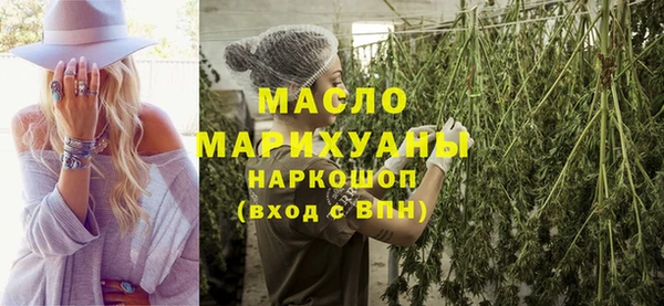 гидра Каменногорск