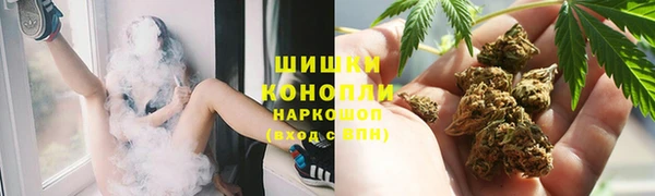 гидра Каменногорск