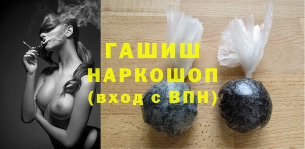 гидра Каменногорск