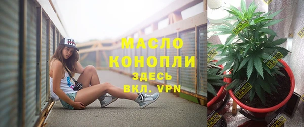 гидра Каменногорск
