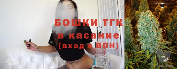 гидра Каменногорск